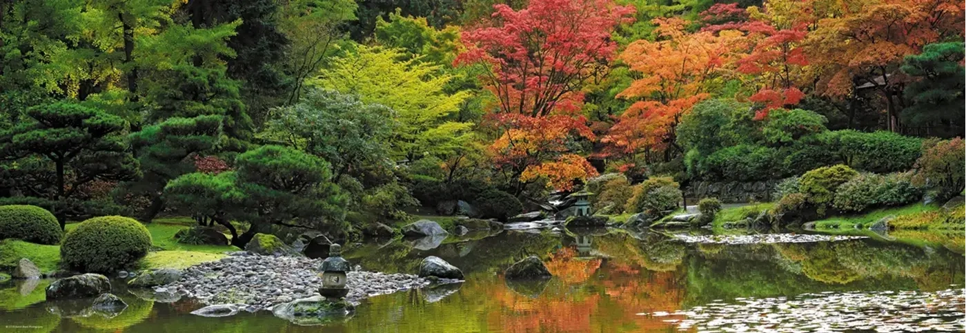 Zen Reflection