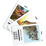 100 PICS Tiere