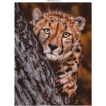 Wildtier-Familien -  3x 1000 Teile