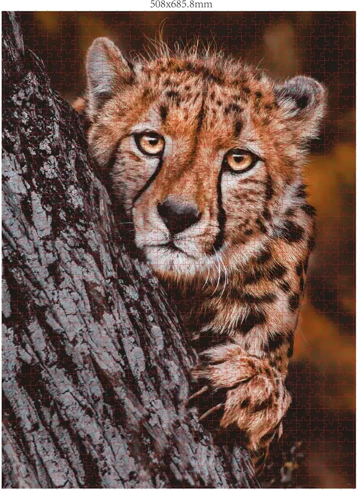 Wildtier-Familien -  3x 1000 Teile