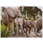 Wildtier-Familien -  3x 1000 Teile