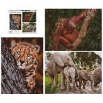Wildtier-Familien -  3x 1000 Teile
