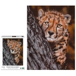 Gepard