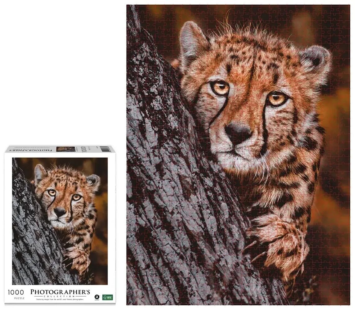 Gepard