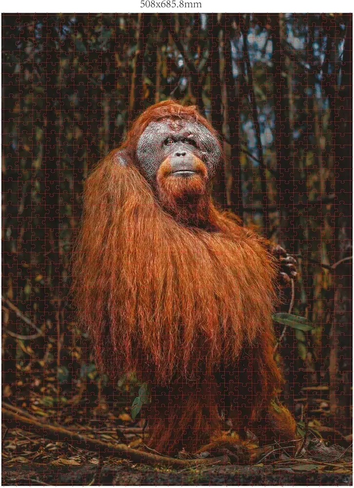 Wildtiere - 3x 1000 Teile