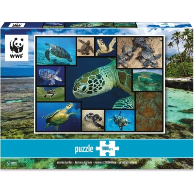 WWF präsentiert: Meeresschildkröten