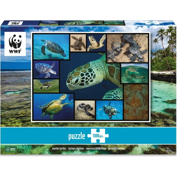WWF präsentiert: Meeresschildkröten