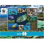 WWF präsentiert: Meeresschildkröten