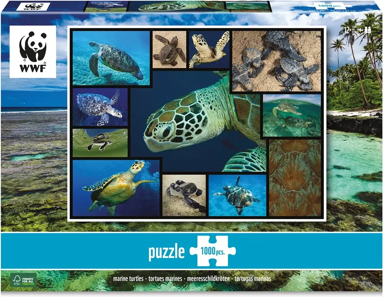 WWF präsentiert: Meeresschildkröten