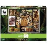 Tiger - Wilde Geschichten - WWF