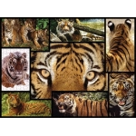 Tiger - Wilde Geschichten - WWF