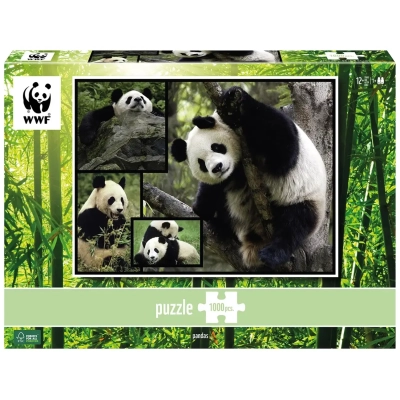 Pandas - Wilde Geschichten - WWF