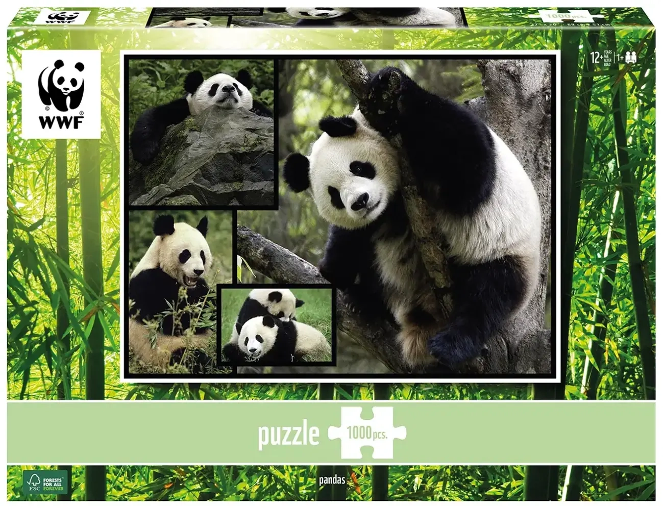 Pandas - Wilde Geschichten - WWF