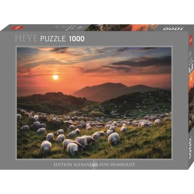 Sheep and Volcanoes