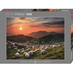 Sheep and Volcanoes