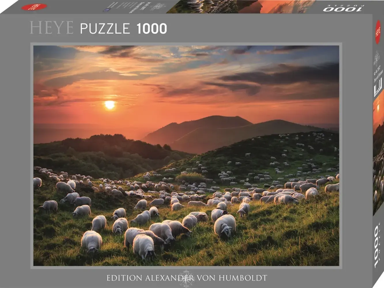 Sheep and Volcanoes