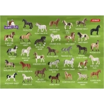 Horse Club, Pferde Paare