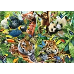 Kunterbunte Wildtierwelt - Howard Robinson