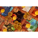 Toriki - The Castway Island - DE