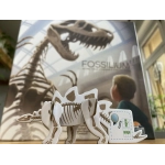 Fossilium
