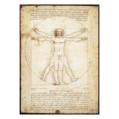 Der Vitruvianische Mensch - Leonardo da Vinci