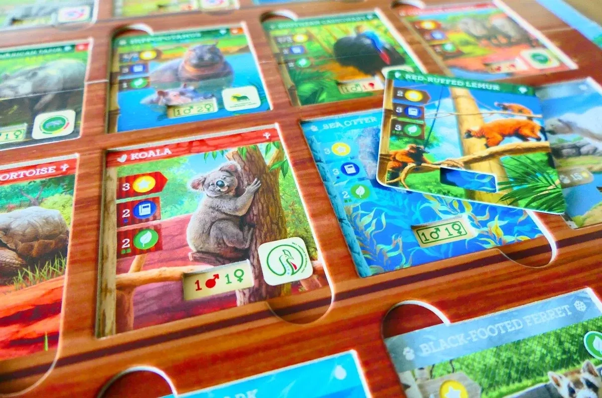 Zoo Tycoon - Neue Ufer - Erweiterung
