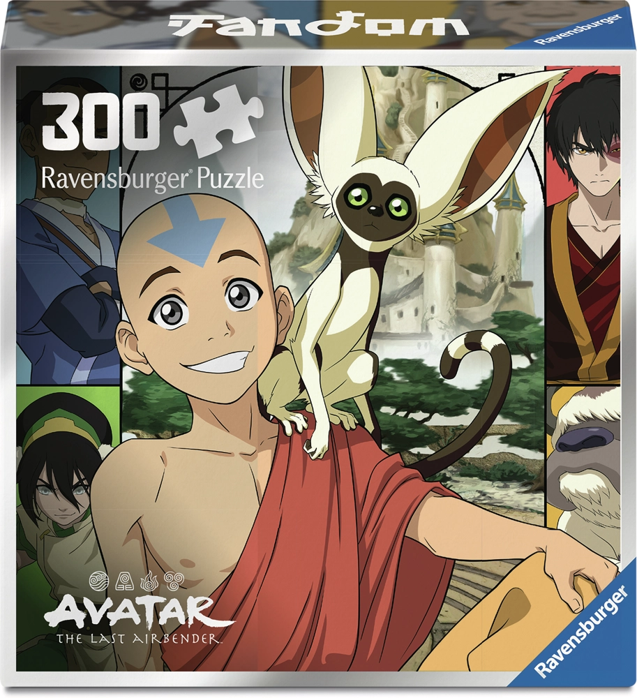 Avatar The Last Airbender - 300 Teile