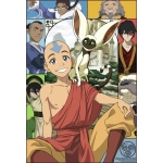 Avatar The Last Airbender - 300 Teile