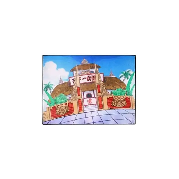 Dragon Ball Indoor-Matte Budokai Tenkaichi 80 x 60 cm