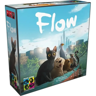 Flow