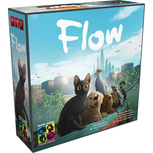 Flow