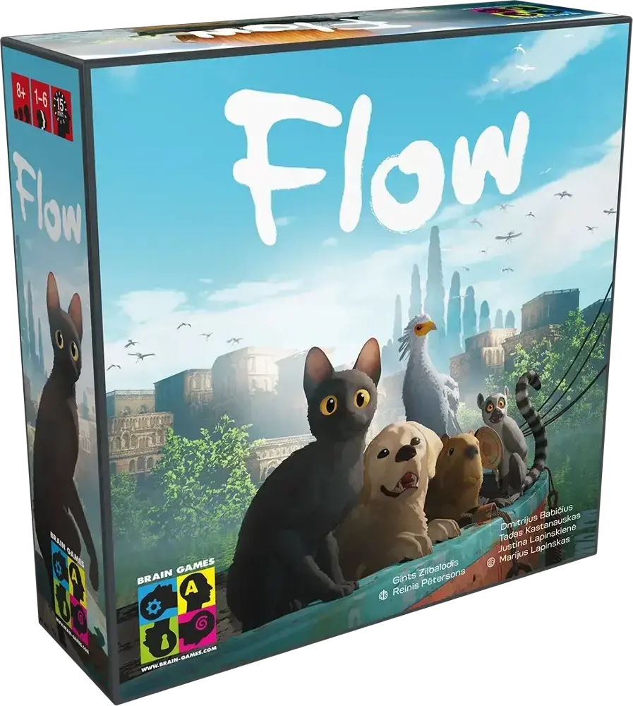 Flow