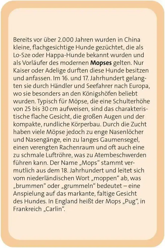 Das grosse Hund Quiz - DE