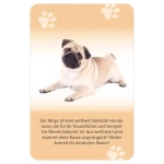Das grosse Hund Quiz - DE