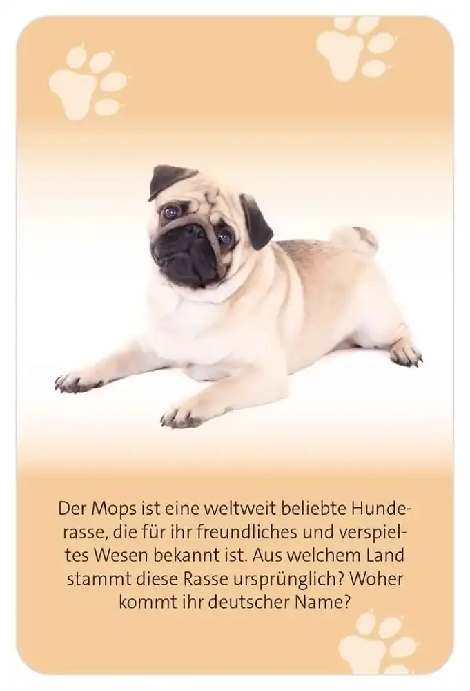 Das grosse Hund Quiz - DE