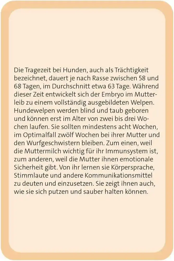 Das grosse Hund Quiz - DE