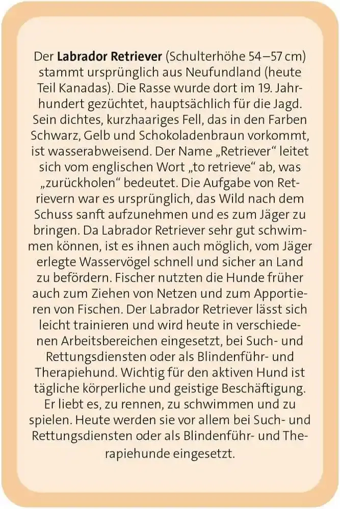 Das grosse Hund Quiz - DE