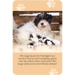 Das grosse Hund Quiz - DE