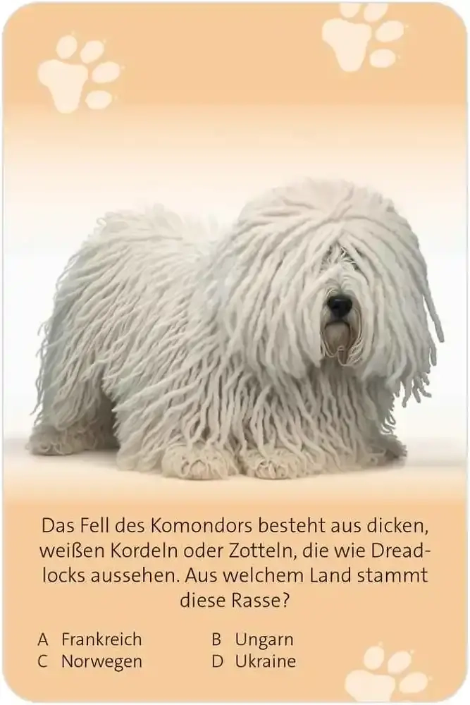 Das grosse Hund Quiz - DE