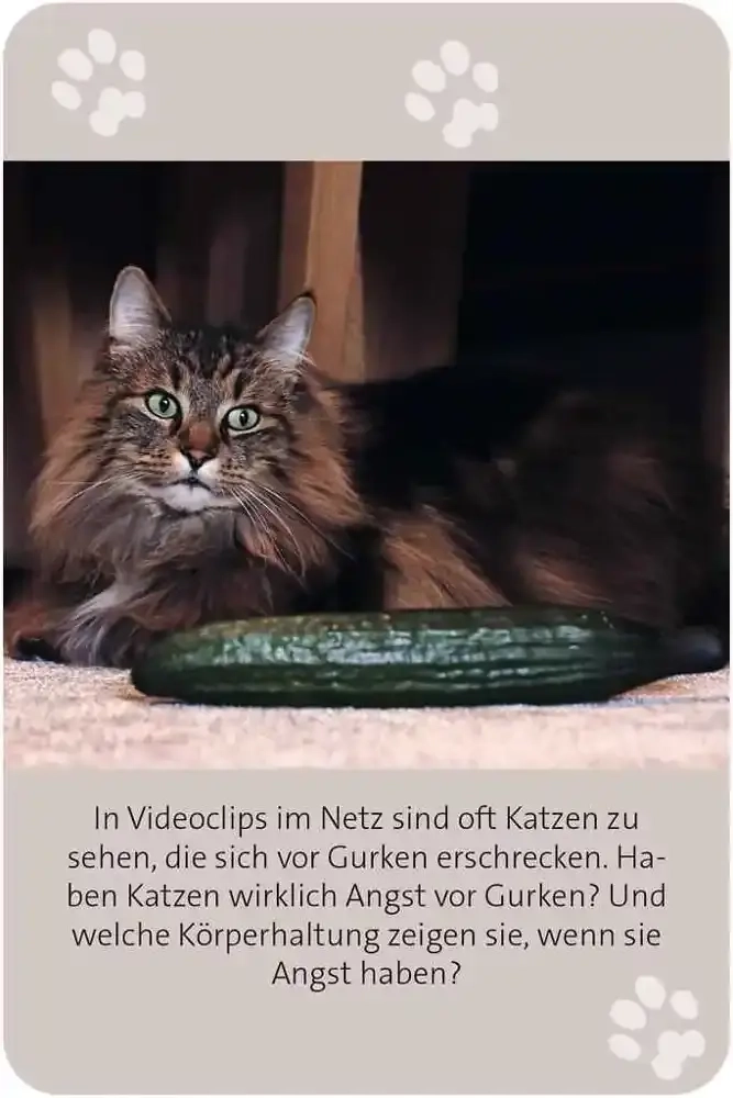 Das grosse Katzen Quiz - DE