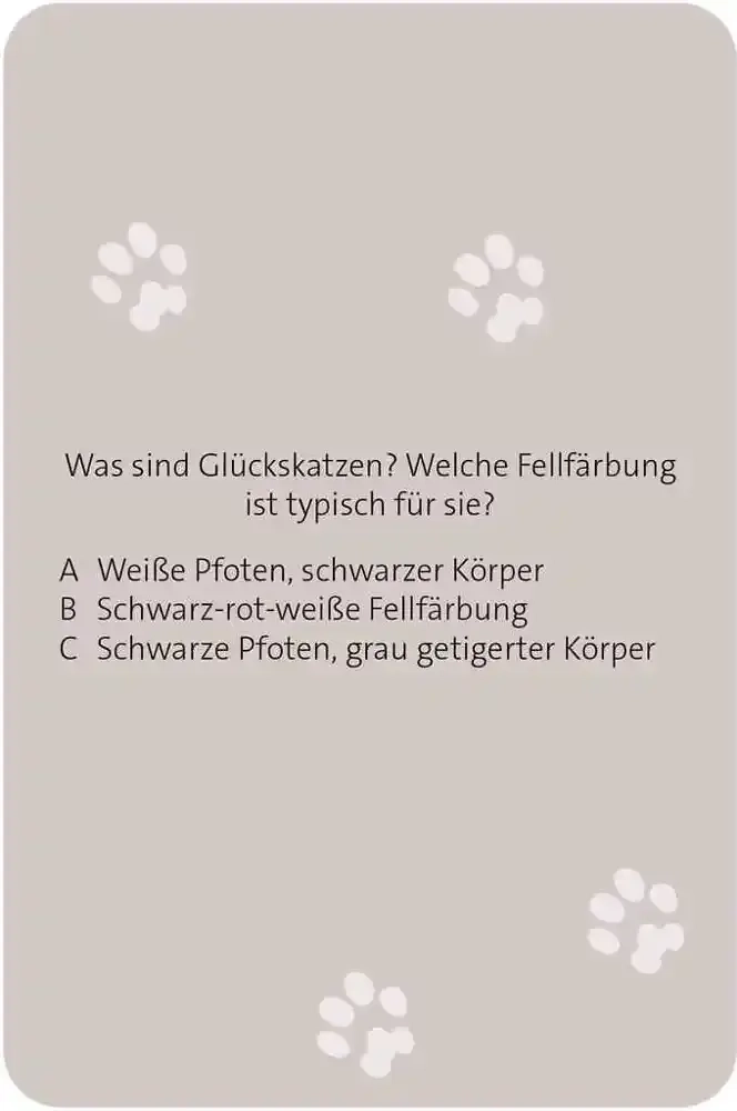 Das grosse Katzen Quiz - DE