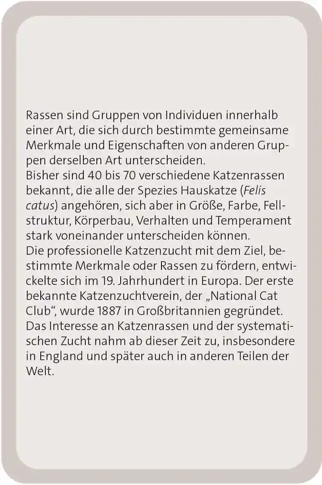 Das grosse Katzen Quiz - DE
