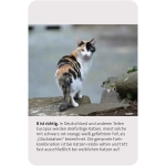 Das grosse Katzen Quiz - DE