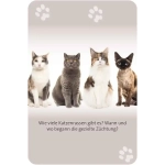 Das grosse Katzen Quiz - DE