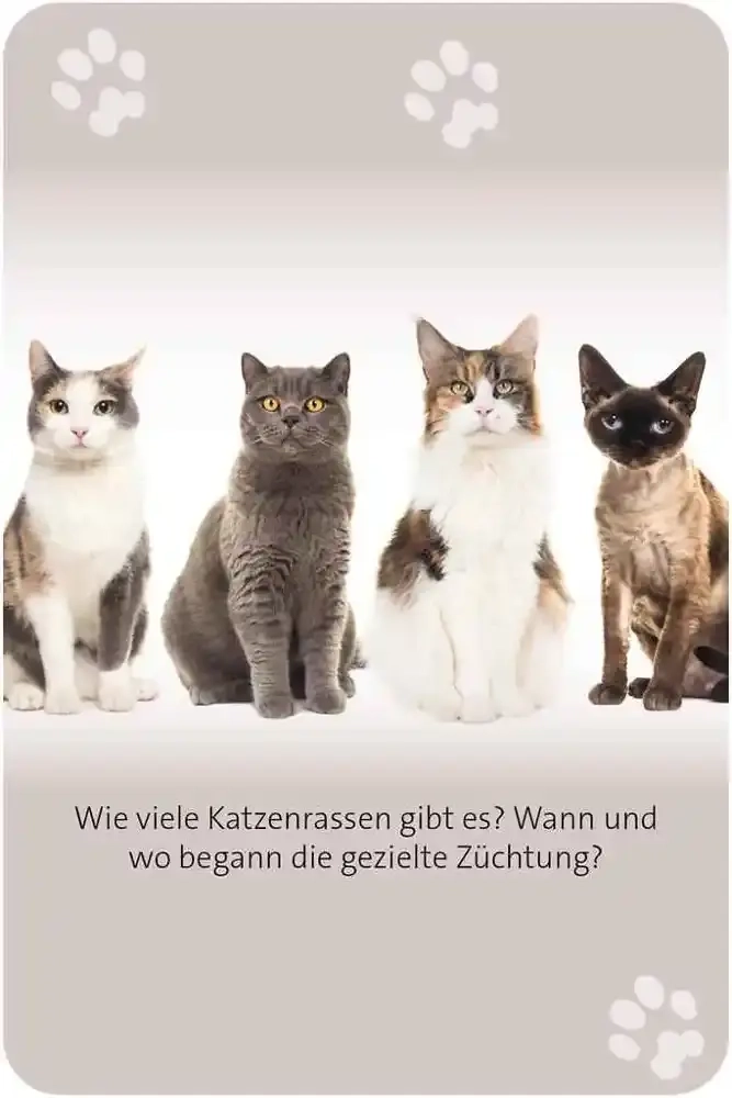 Das grosse Katzen Quiz - DE