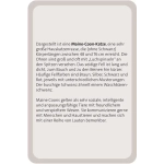 Das grosse Katzen Quiz - DE