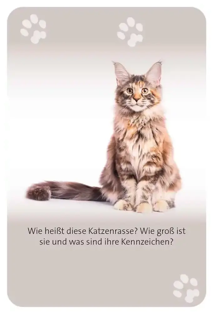 Das grosse Katzen Quiz - DE