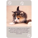 Das grosse Katzen Quiz - DE