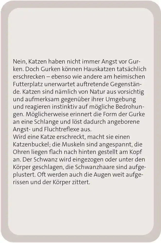 Das grosse Katzen Quiz - DE