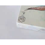 Wingspan 2. Edition - EN (Leicht Defekte Verpackung)